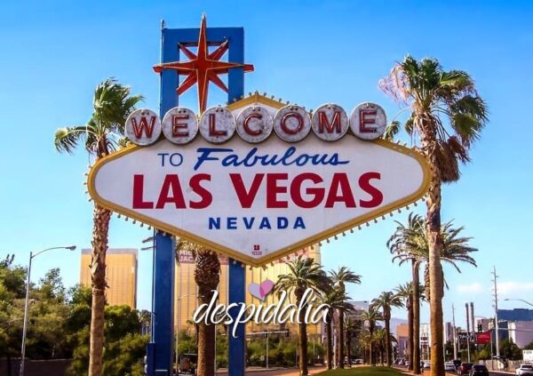 Idee per un addio al nubilato e celibato a Las Vegas