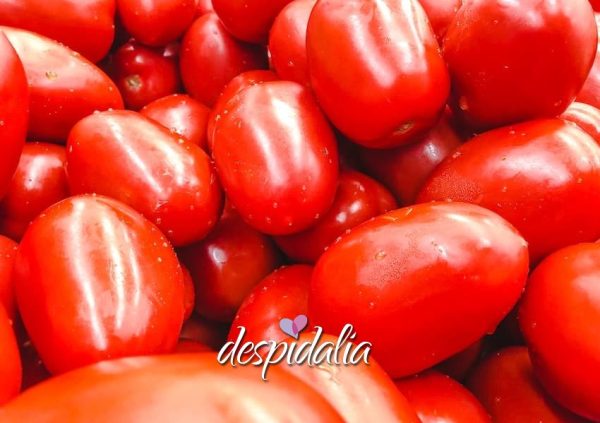 addio al celibato a Buñol (La Tomatina)