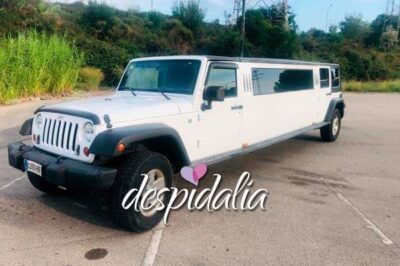 Limousine Barcellona