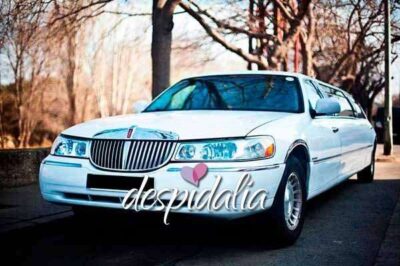 Tour in limousine a Barcellona per addio al nubilato