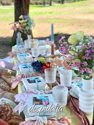 Picnic per addio al nubilato a Barcellona