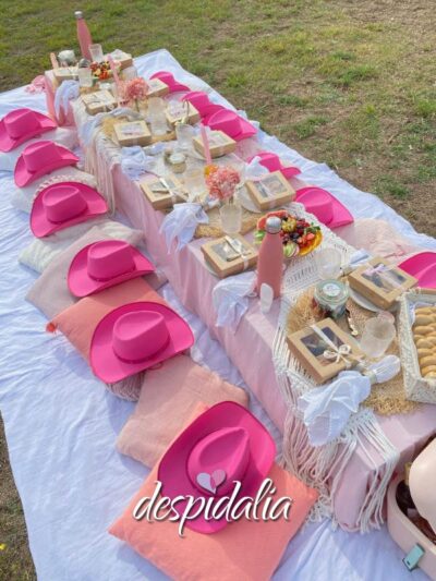 Picnic per addio al nubilato a Sitges